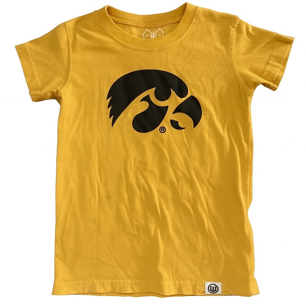 Children's Iowa Hawkeye 4T Graphic T-Shirt Wes and Willy